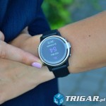GarminFenix6s_010-02159-01.jpg