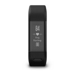 sc-02-lg.jpg