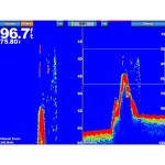 pd-04-lg.jpg