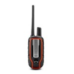 pd-03-lg.jpg