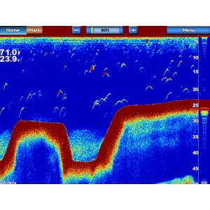 sc-03-lg.jpg