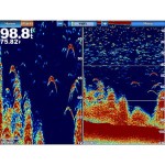 sc-01-lg.jpg