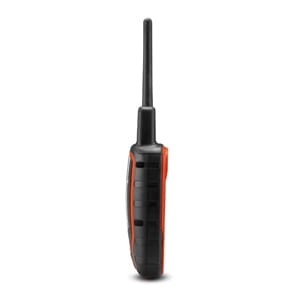 pd-02-lg.jpg