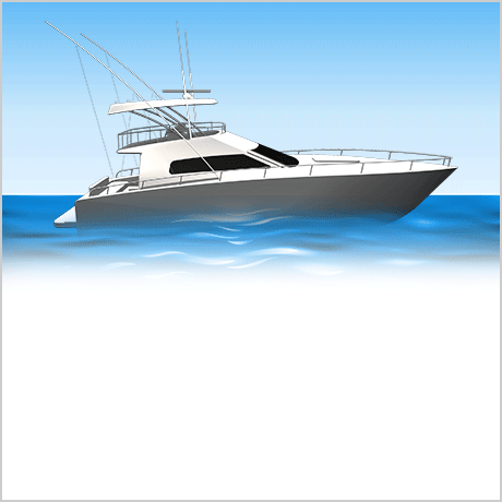 Sonar Garmin CHIRP