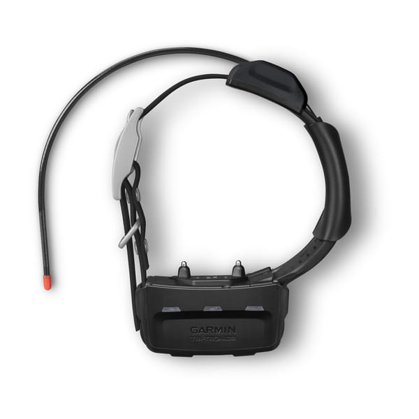 010-02035-11_7.jpg