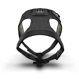 Virb/Virb Elite