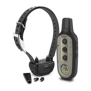 cf-lg (2).jpg