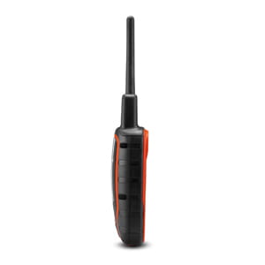pd-02-lg.jpg