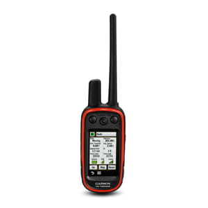 pd-01-lg.jpg